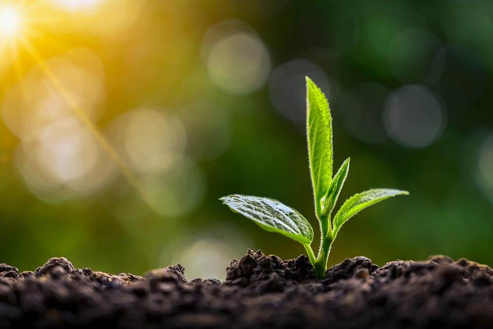 聚天冬氨酸（鈉）的應(yīng)用